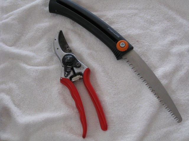 Felco Number 2 Pruners and Fiskars retractable saw.